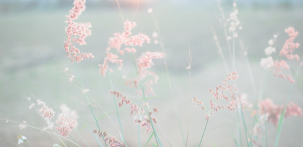 topic-banner
